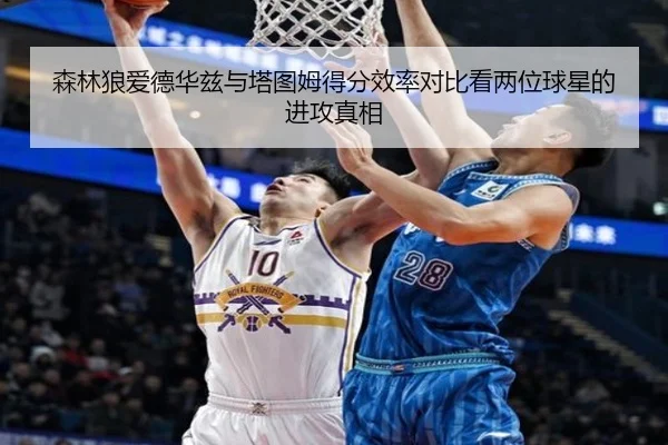 森林狼爱德华兹与塔图姆得分效率对比看两位球星的进攻真相 | kaiyun